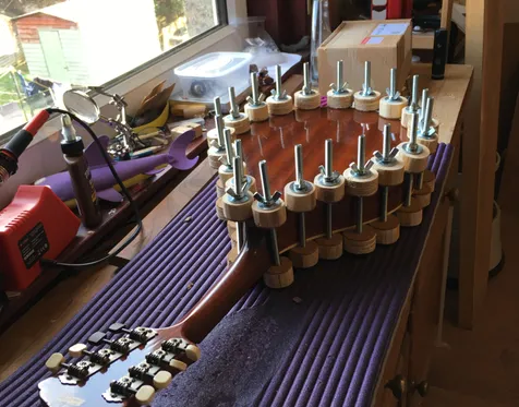 Levin 44 mandolin recovering from surgery